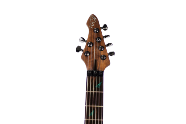 10S Guitars - Spring Bh Baikal Hybrid