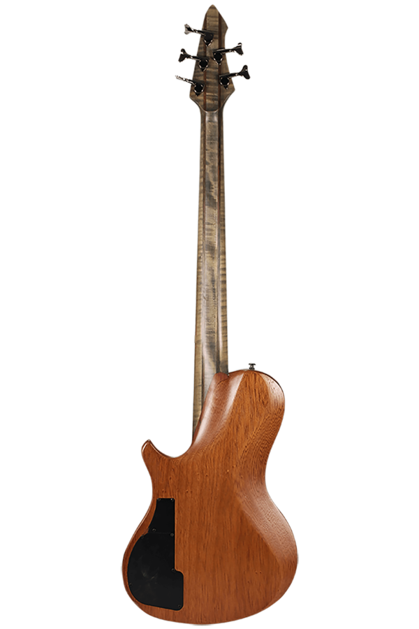 10S Guitars - Xi Modern 5 String Bass back