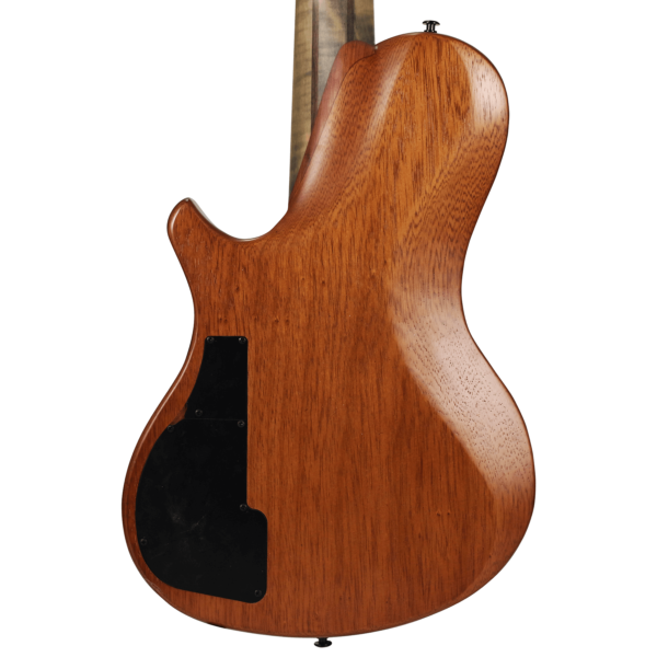 10S Guitars - Xi Modern 5 String Bass bodyback