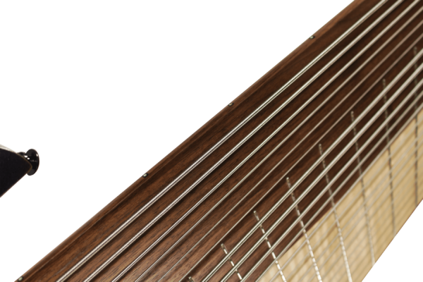 10S Guitars - Stevie T Djentar 20 String