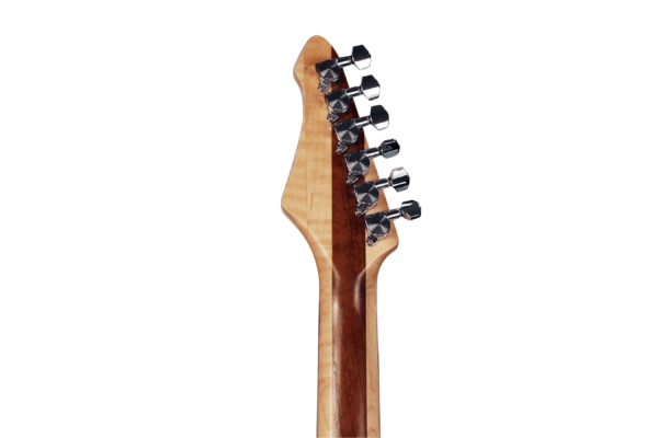 10S Guitars - Chord of Orion Semi Hollow Tele Baritone